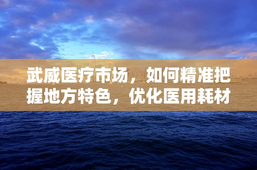 武威医疗市场，如何精准把握地方特色，优化医用耗材销售策略？