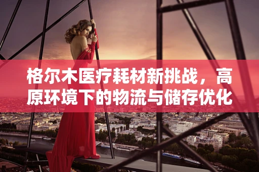 格尔木医疗耗材新挑战，高原环境下的物流与储存优化策略
