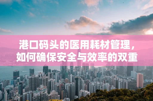 港口码头的医用耗材管理，如何确保安全与效率的双重保障？