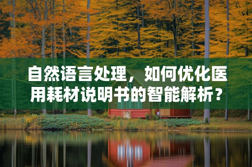 自然语言处理，如何优化医用耗材说明书的智能解析？