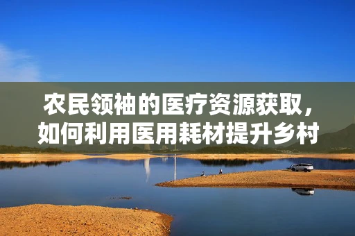农民领袖的医疗资源获取，如何利用医用耗材提升乡村健康水平？
