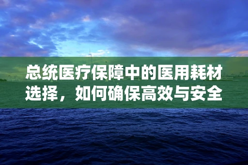 总统医疗保障中的医用耗材选择，如何确保高效与安全？