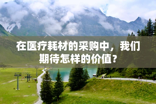 在医疗耗材的采购中，我们期待怎样的价值？