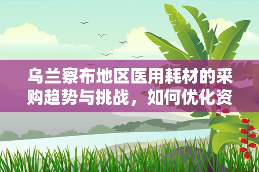 乌兰察布地区医用耗材的采购趋势与挑战，如何优化资源配置？