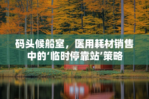码头候船室，医用耗材销售中的‘临时停靠站’策略