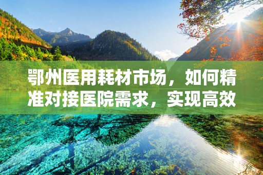 鄂州医用耗材市场，如何精准对接医院需求，实现高效供应？