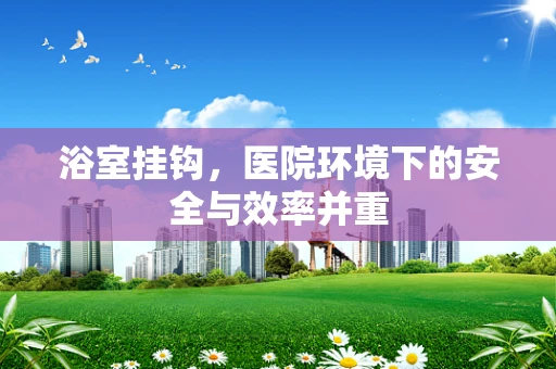 浴室挂钩，医院环境下的安全与效率并重