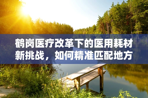 鹤岗医疗改革下的医用耗材新挑战，如何精准匹配地方需求？