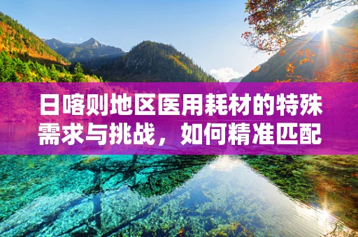 日喀则地区医用耗材的特殊需求与挑战，如何精准匹配医疗资源？