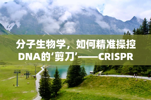 分子生物学，如何精准操控DNA的‘剪刀’——CRISPR-Cas9？