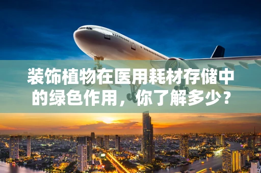 装饰植物在医用耗材存储中的绿色作用，你了解多少？