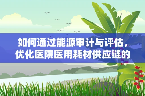 如何通过能源审计与评估，优化医院医用耗材供应链的能源消耗？