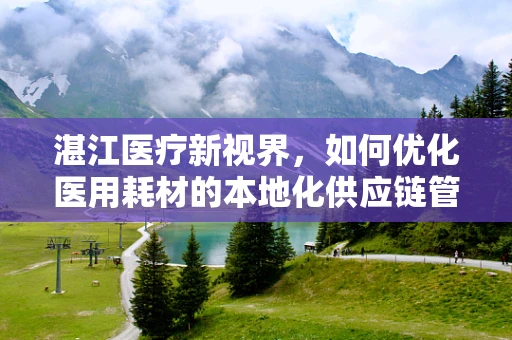 湛江医疗新视界，如何优化医用耗材的本地化供应链管理？