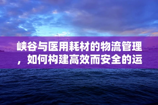峡谷与医用耗材的物流管理，如何构建高效而安全的运输通道？