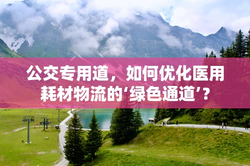 公交专用道，如何优化医用耗材物流的‘绿色通道’？