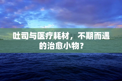 吐司与医疗耗材，不期而遇的治愈小物？