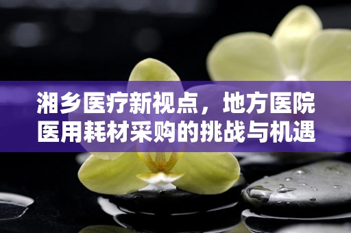 湘乡医疗新视点，地方医院医用耗材采购的挑战与机遇