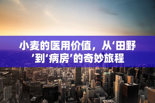 小麦的医用价值，从‘田野’到‘病房’的奇妙旅程