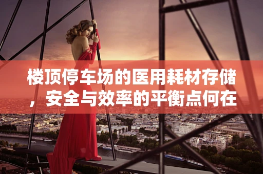 楼顶停车场的医用耗材存储，安全与效率的平衡点何在？