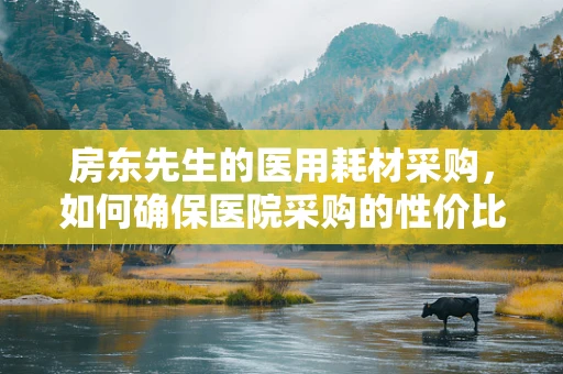 房东先生的医用耗材采购，如何确保医院采购的性价比与质量？