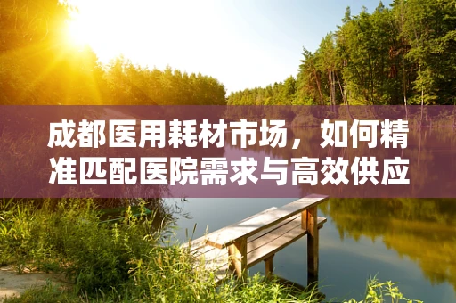 成都医用耗材市场，如何精准匹配医院需求与高效供应链？