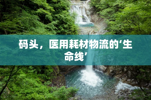 码头，医用耗材物流的‘生命线’