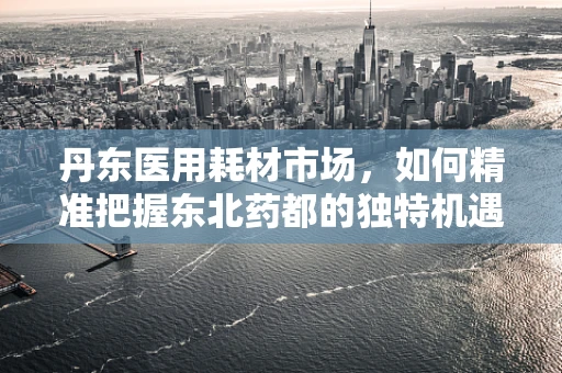 丹东医用耗材市场，如何精准把握东北药都的独特机遇？