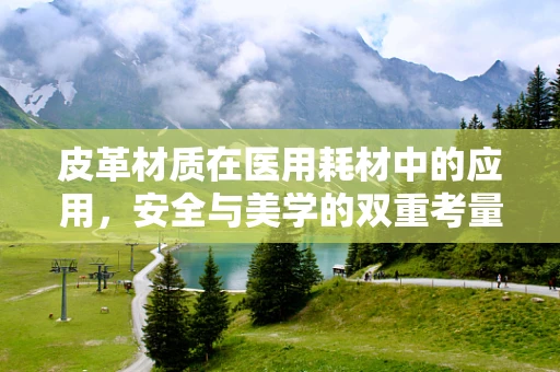 皮革材质在医用耗材中的应用，安全与美学的双重考量