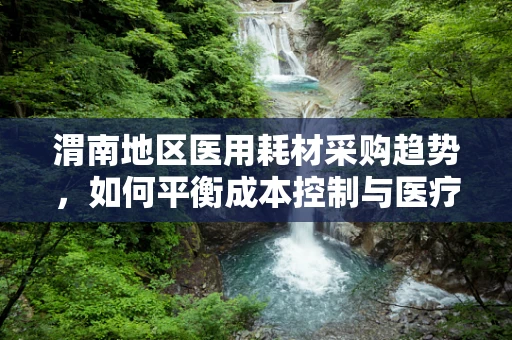 渭南地区医用耗材采购趋势，如何平衡成本控制与医疗质量？