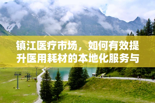 镇江医疗市场，如何有效提升医用耗材的本地化服务与供应效率？