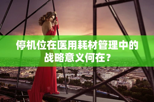 停机位在医用耗材管理中的战略意义何在？
