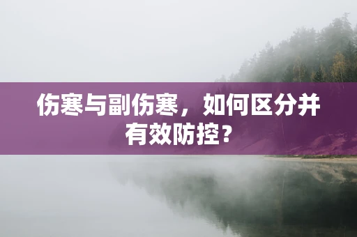 伤寒与副伤寒，如何区分并有效防控？
