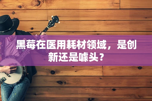 黑莓在医用耗材领域，是创新还是噱头？