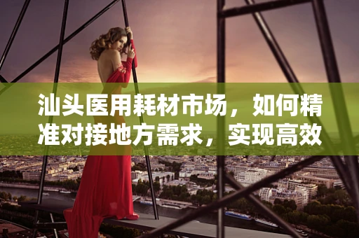 汕头医用耗材市场，如何精准对接地方需求，实现高效采购？