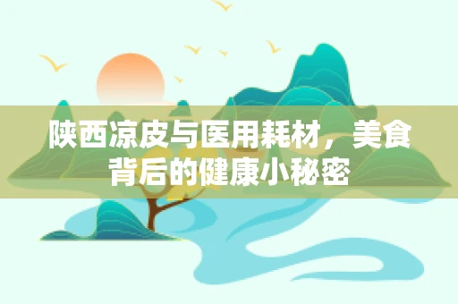陕西凉皮与医用耗材，美食背后的健康小秘密