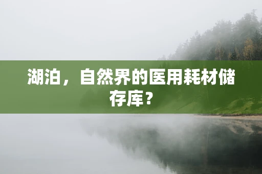 湖泊，自然界的医用耗材储存库？