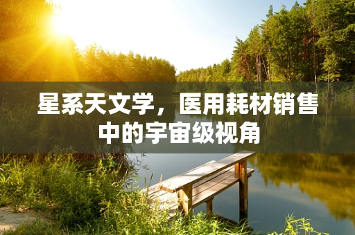 星系天文学，医用耗材销售中的宇宙级视角