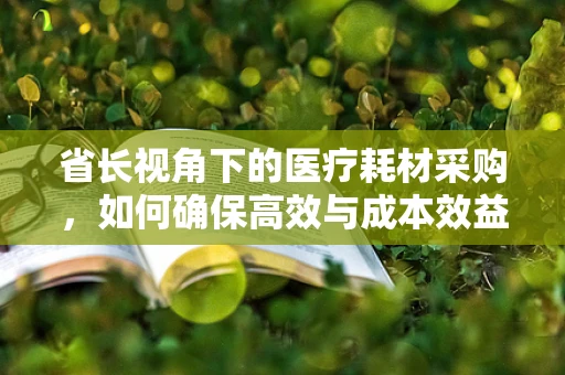 省长视角下的医疗耗材采购，如何确保高效与成本效益的平衡？