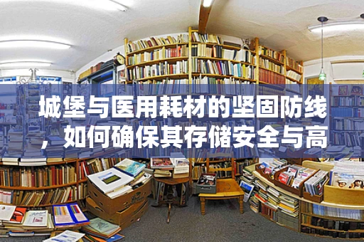 城堡与医用耗材的坚固防线，如何确保其存储安全与高效管理？