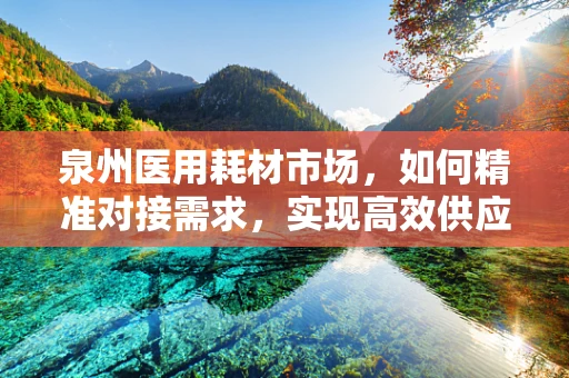 泉州医用耗材市场，如何精准对接需求，实现高效供应？