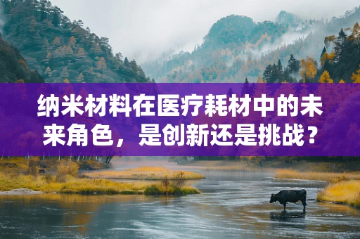 纳米材料在医疗耗材中的未来角色，是创新还是挑战？