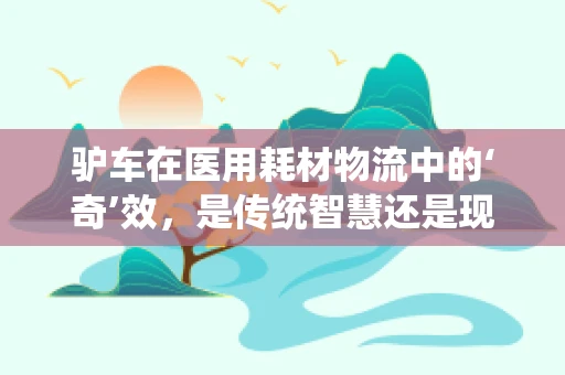 驴车在医用耗材物流中的‘奇’效，是传统智慧还是现代难题？