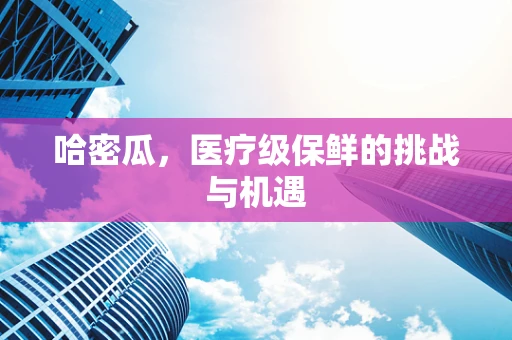 哈密瓜，医疗级保鲜的挑战与机遇