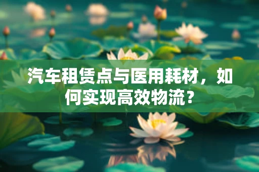 汽车租赁点与医用耗材，如何实现高效物流？