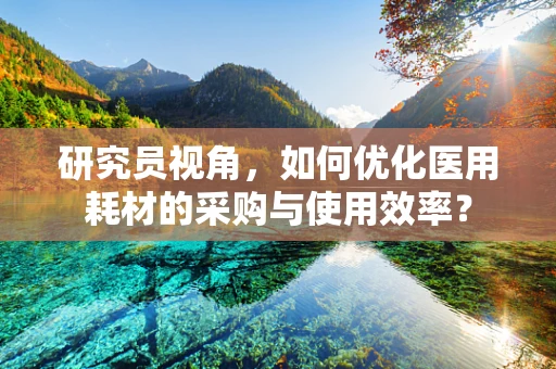 研究员视角，如何优化医用耗材的采购与使用效率？