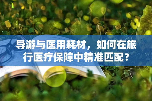 导游与医用耗材，如何在旅行医疗保障中精准匹配？