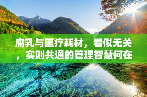 腐乳与医疗耗材，看似无关，实则共通的管理智慧何在？