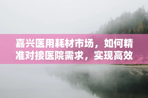 嘉兴医用耗材市场，如何精准对接医院需求，实现高效供应？