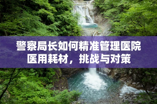 警察局长如何精准管理医院医用耗材，挑战与对策