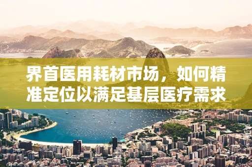 界首医用耗材市场，如何精准定位以满足基层医疗需求？